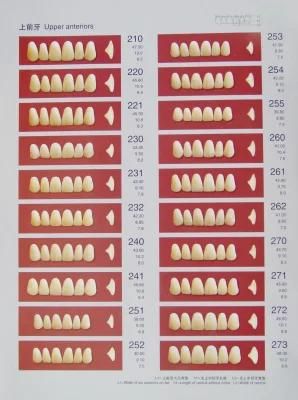 Dental Multi Layer Denture