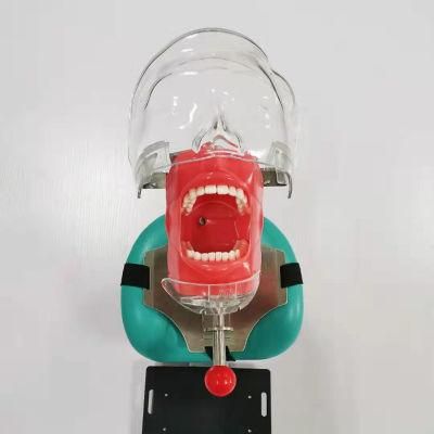 Pillow Strap Type Training Teaching with Jaw Head Dental Phantom