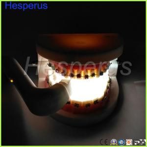 Dental Intraoral Light and Suction Wireless LED Lamp System Intraoral