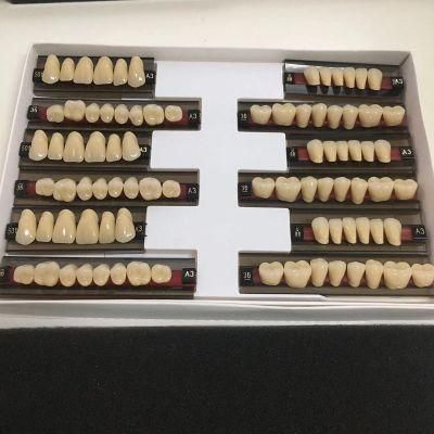 Synthetic Resin Teeth of Dental Material