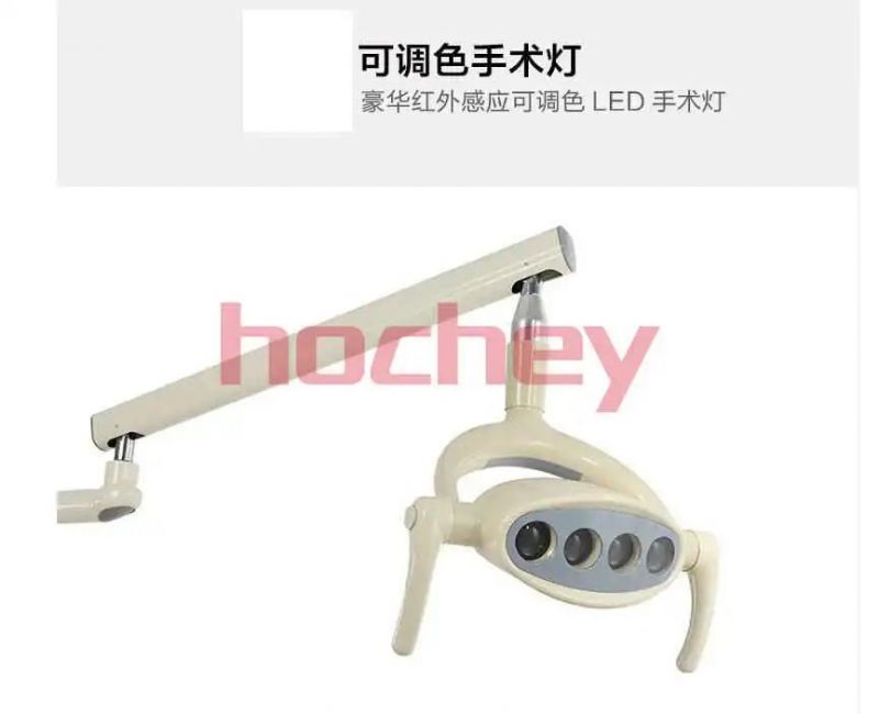 Hochey Medical Mobile Luxury Dental Chair Machine Dental Whitening