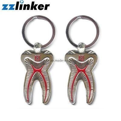Lk-S23 Dental Teeth Shape Key Chain Good Price