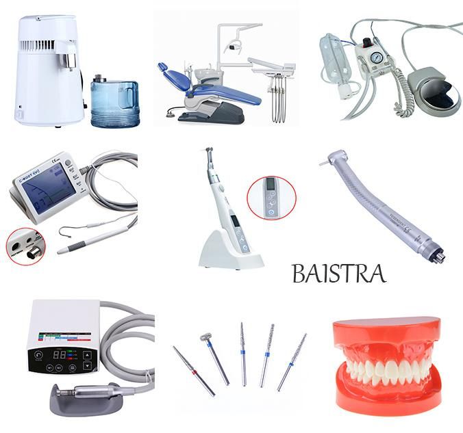 Top Quality Root Cancal Treatment Dental Endodontic Apex Locator China