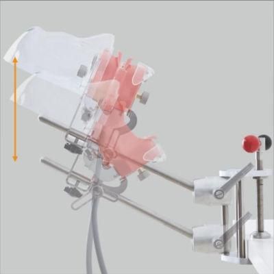 New Style Bench Mount for Dentist Teaching Dental Phantom Head