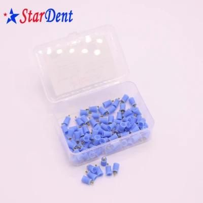 Dental Supply Disposable Blue Snap-on Prophy Cup for Dental Polishing