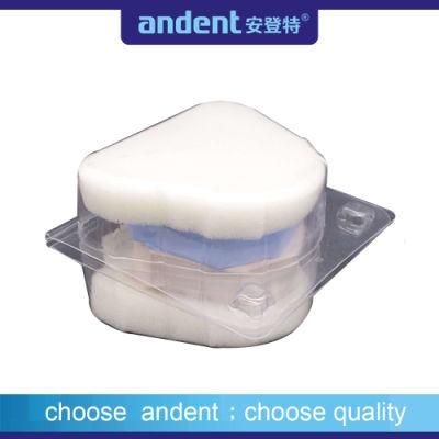 Denture Transportation Box