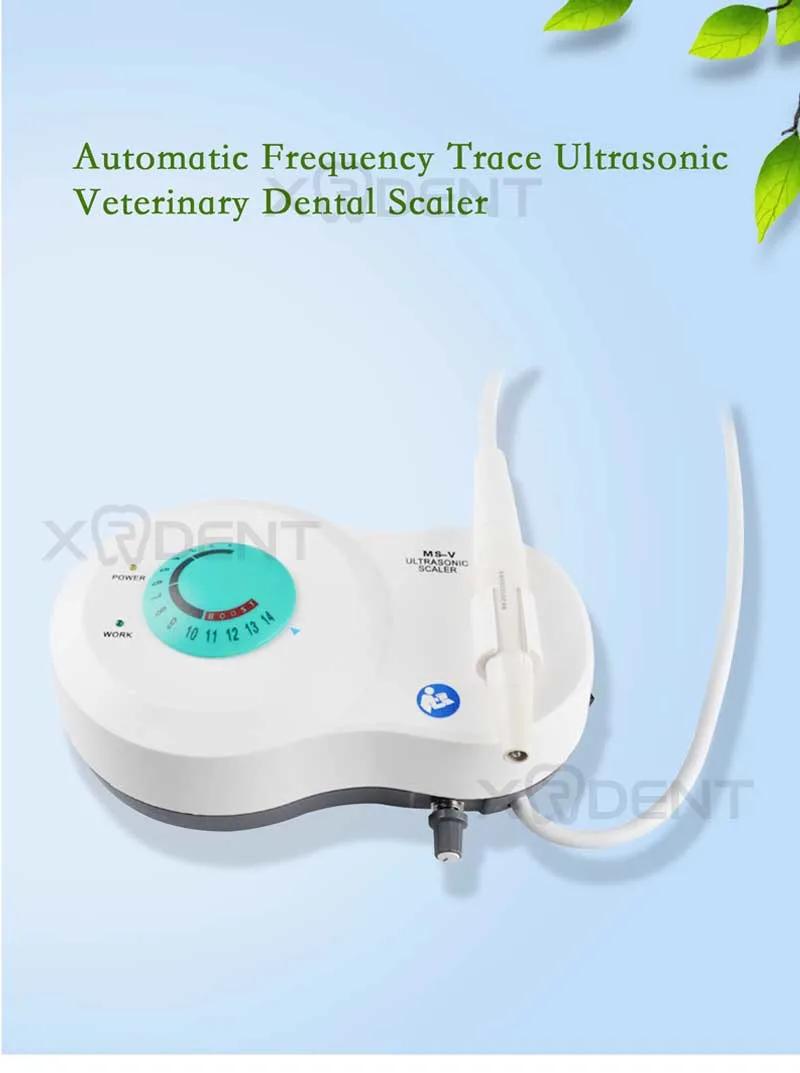 Delicate and Durable Dental Ultrasonic Scaler