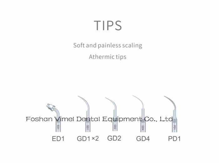 Woodpecker Dte-D6 LED Dental Ultrasonic Scaler Dental Equipment