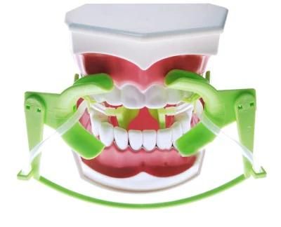 Orthodontic Cheek Retractor with Dry Field System