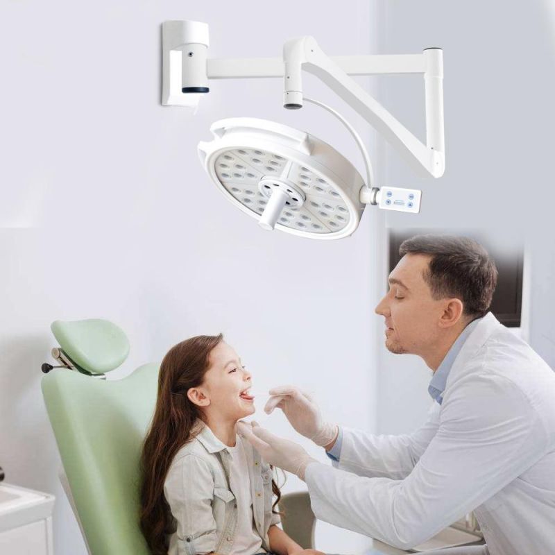 Wall Mounted Outpatient Plastic Surgery Pet Medical Dental Implant Surgical Lamp