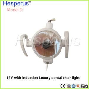 High Quality Halogen Dental Lamp