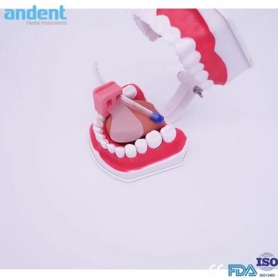 Dental Autoclavable Mouth Prop with Tongue Guard