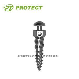 Ortho Use Mini Screw Mini Impant Titanium Material