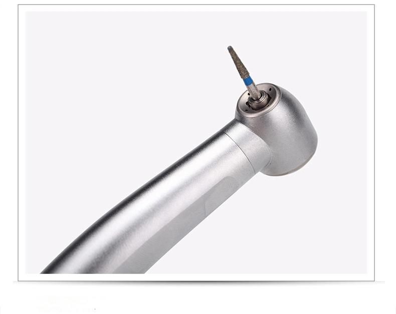 Relaxed Grip Compact Design Oral Handpiece