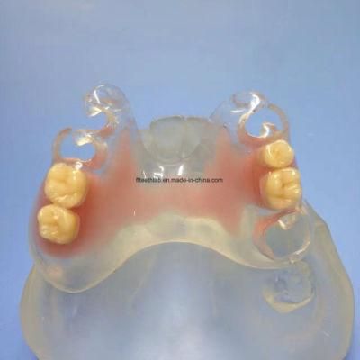 Dental Material Lab Implant Dental Lab Supplies Removable Flexible Partial Denture