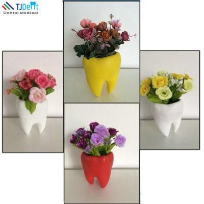 Dental Clinic Decoration Tooth Shape Flower Pot Flower Vase