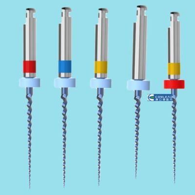Endodontic Instruments in a Root Canal, Includes 16mm 21mm 25mm Endo Canal Files