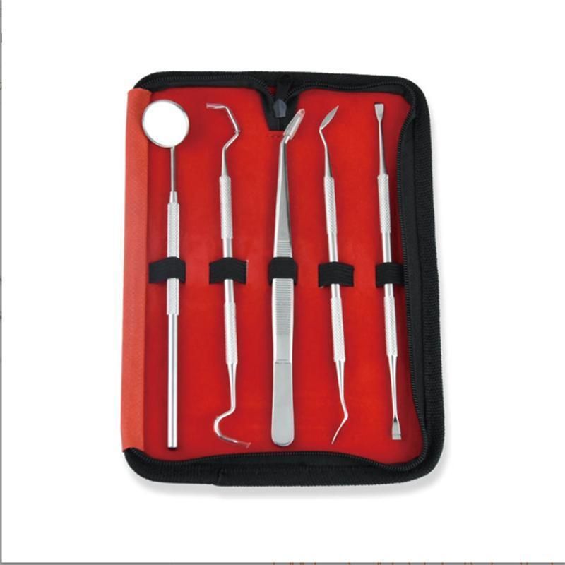 Stainless Steel Dentist Tool Set 6 Piece Dental Mirror