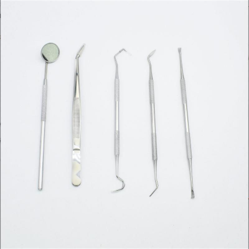 Stainless Steel Dentist Tool Set 6 Piece Dental Mirror