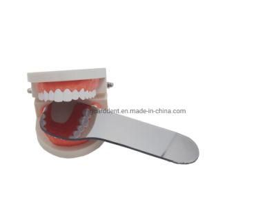 Dental Full Denture Teeth Model for Study Teaching Standard Model 28PCS