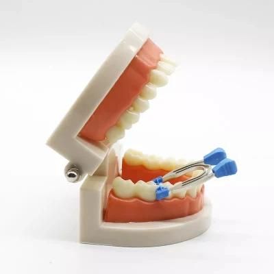 Dental Sectional Contoured Matrix Clip