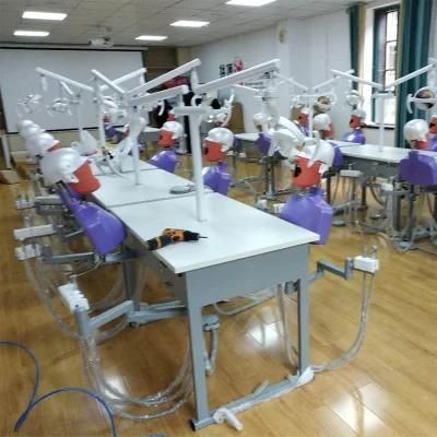 Medical Teaching System 2 Phantom Head Dental Simulator