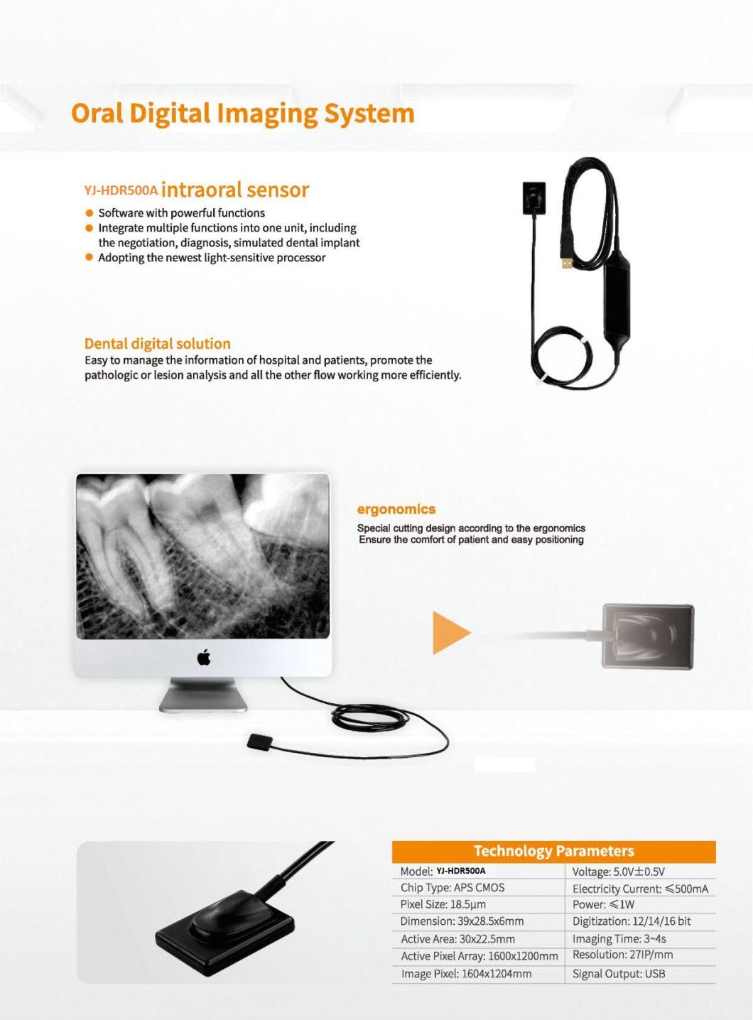 Medical X-ray Equipments Intraoral Xray Sensor Dental Digital Sensor USB