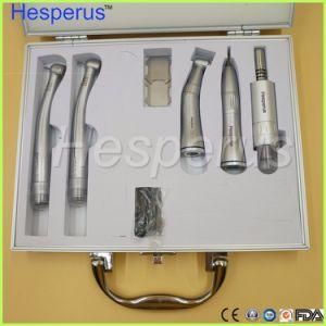 Dental High Speed Handpiece and Low Speed Dentist Handpiece Kit Hesperus