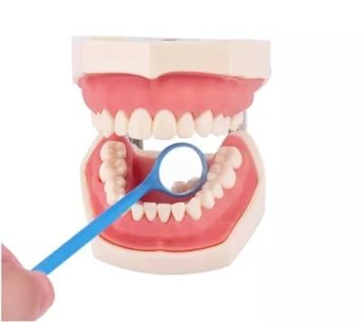Anti-Fog Plastic Disposable Mouth Dental Mirror