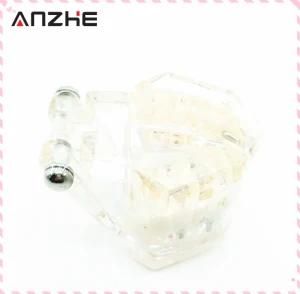 Dental Implant Disease Teeth Model with Restoration &amp; Bridge Tooth