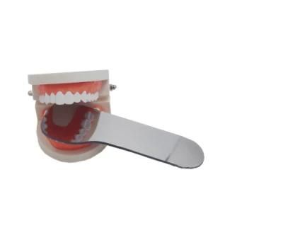 Beautiful Style Dental Implant Denture Teeth Model for Practice