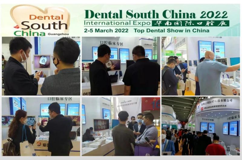 U801 High Pixel USB Dental Oral Camera Working with Windows PC
