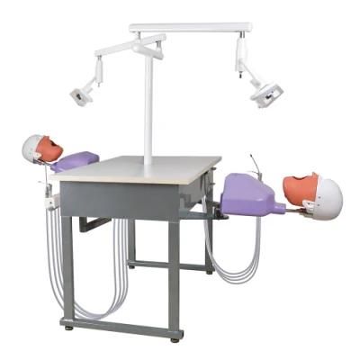 Dental Surgery Practice Model Phantom Dental Head Simulator Manual Type for School Education