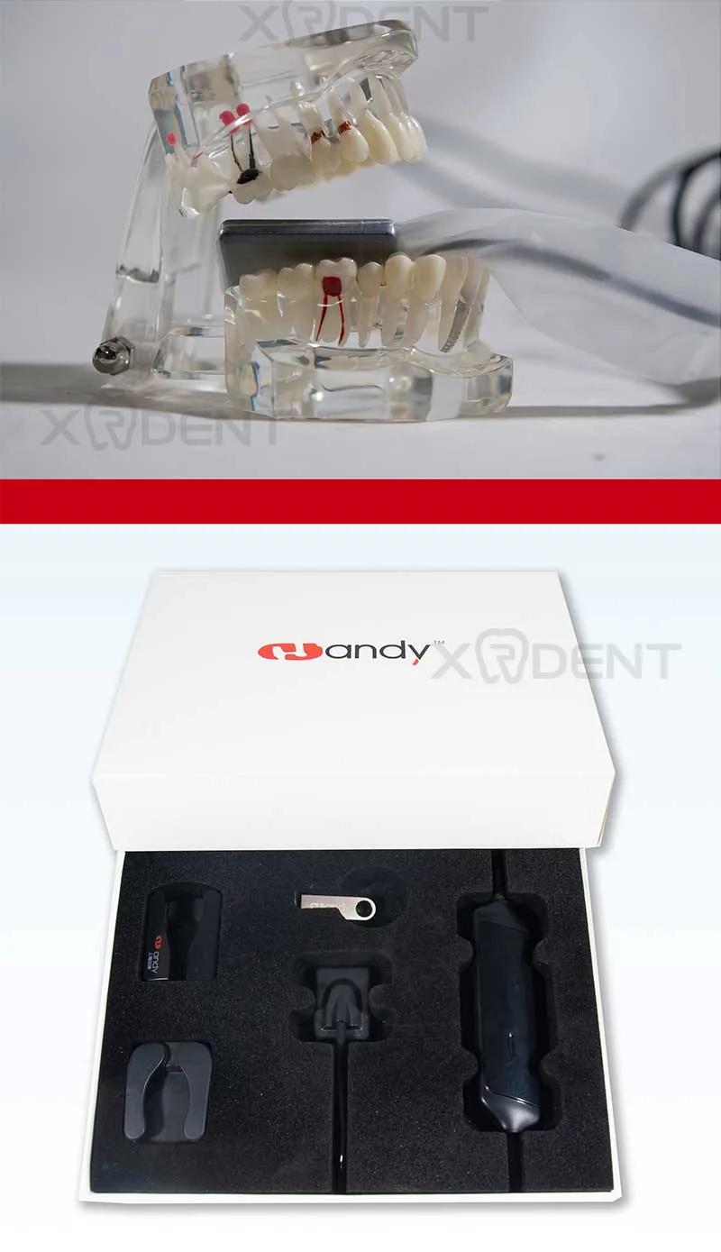 High Quality Dental Intraoral Sensor Made in China