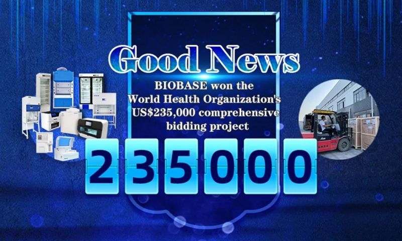 Biobase Dental Chair Economical with Many Accessions for Clinic