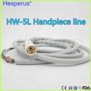 Uds LED Scaler Hw-5L Original Fiber Optic Detachable Handpiece Line