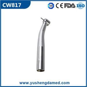 Professional Fiber Optic High Speed Hygiene Dental Handpieces