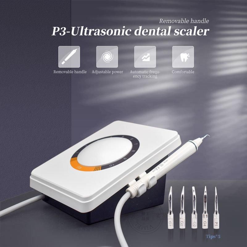 Dental Ultrasonic Scaler with Detachable Handpiece