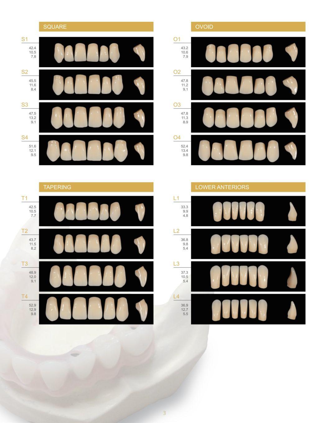 High Quality Five Layers Impla Shandong Huge Full and Removable Implant-Support Full Denture Acrylic Resin Practical False Teeth