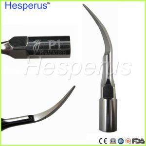 Dental Ultrasonic Scaler Tips Scaling Tips Handpiece Fits for EMS &Woodpecker Type P1