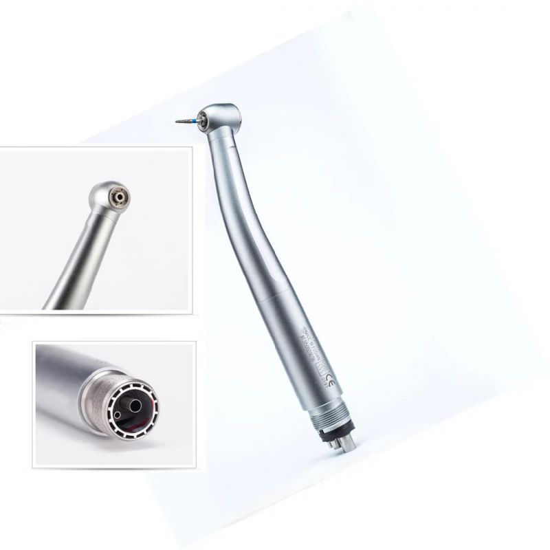 Relaxed Grip Compact Design Oral Handpiece