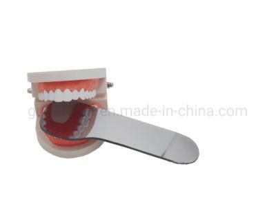 Falseteeth Acrylic Model Dental Denture Teeth Models for Implant Denture