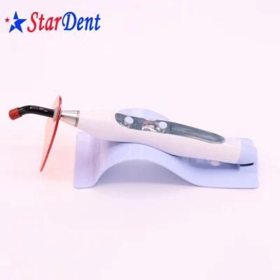 Dental Material LED Light Curing Hot Sale