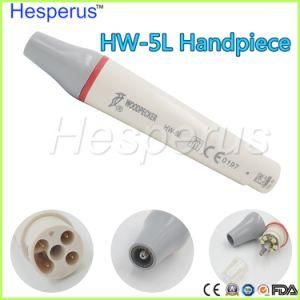 Uds LED Scaler Hw-5L Original Fiber Optic Detachable Handpiece