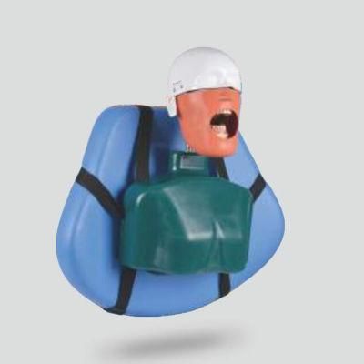 Dental Education Manikins Phantom Head Simulator for Dentistry Oral Study