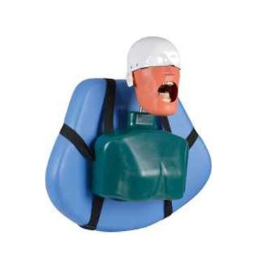 Dental School Oral Student Training Teaching Study Simulator Head