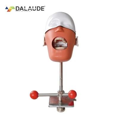 Dalaude Adjustable Phantom Head with Clamp