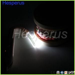 Dental Oral Light Medical Lamp for Mouth
