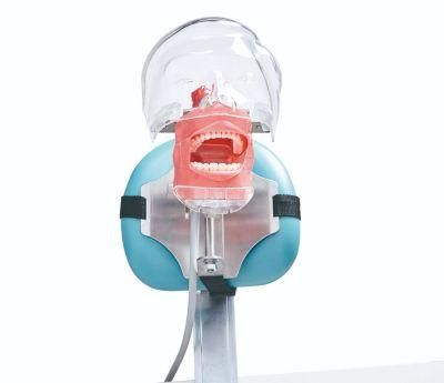 Clinical Dental Equipment Training Dental Simulator Dental Manikin Phantom Head Model