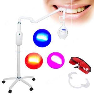 Assorted Red Blue 3 Color LED UV Light Floor Teeth Whitening Machine/Lamp